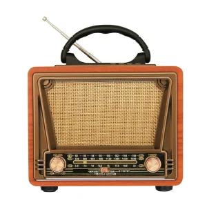 Enceinte Vintage Americaine