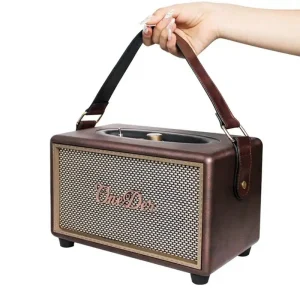 Enceinte Vintage Portable