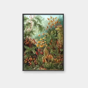 Poster Vintage Fleur